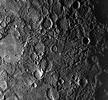 mercter.gif (6781 bytes)