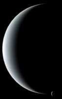 neptrit.jpg (1947 bytes)
